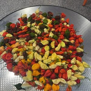 Seeds