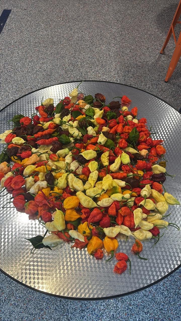 Seeds